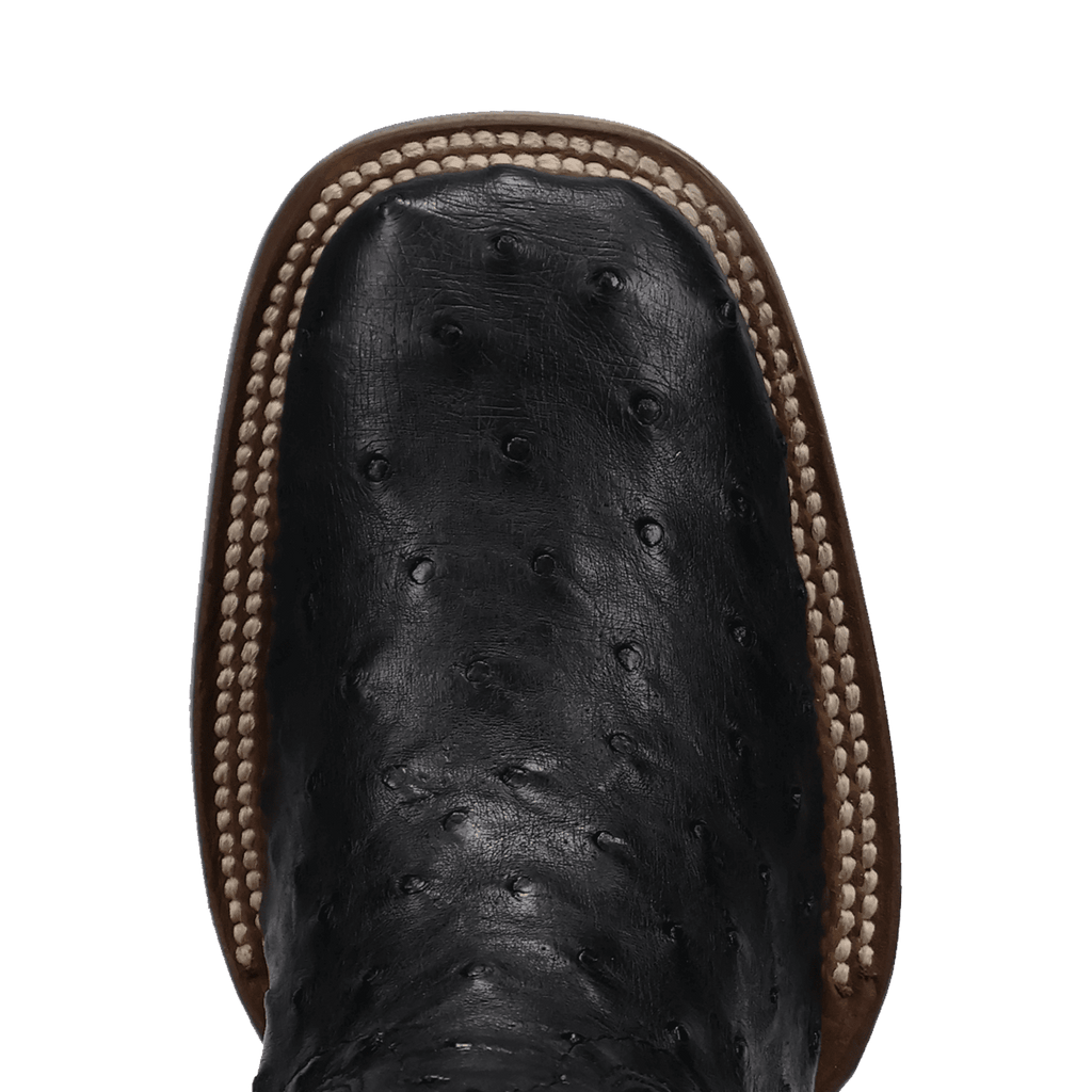 Dan Post Reese Full Quill Ostrich Boot-DP5284