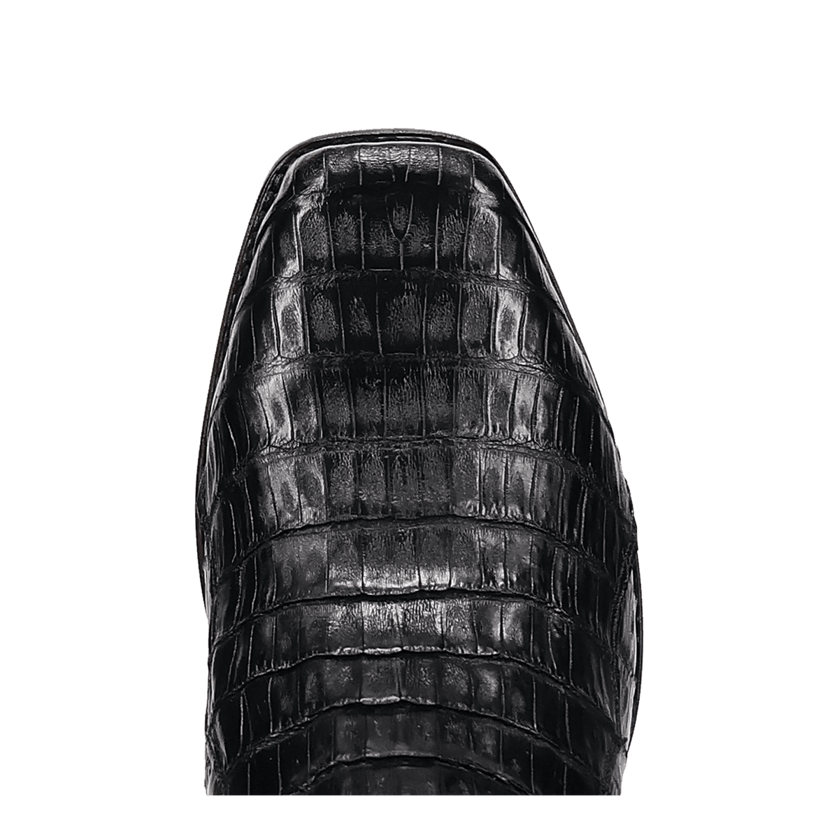 Dan Post Zandor Caiman Belly Boot-DP7132
