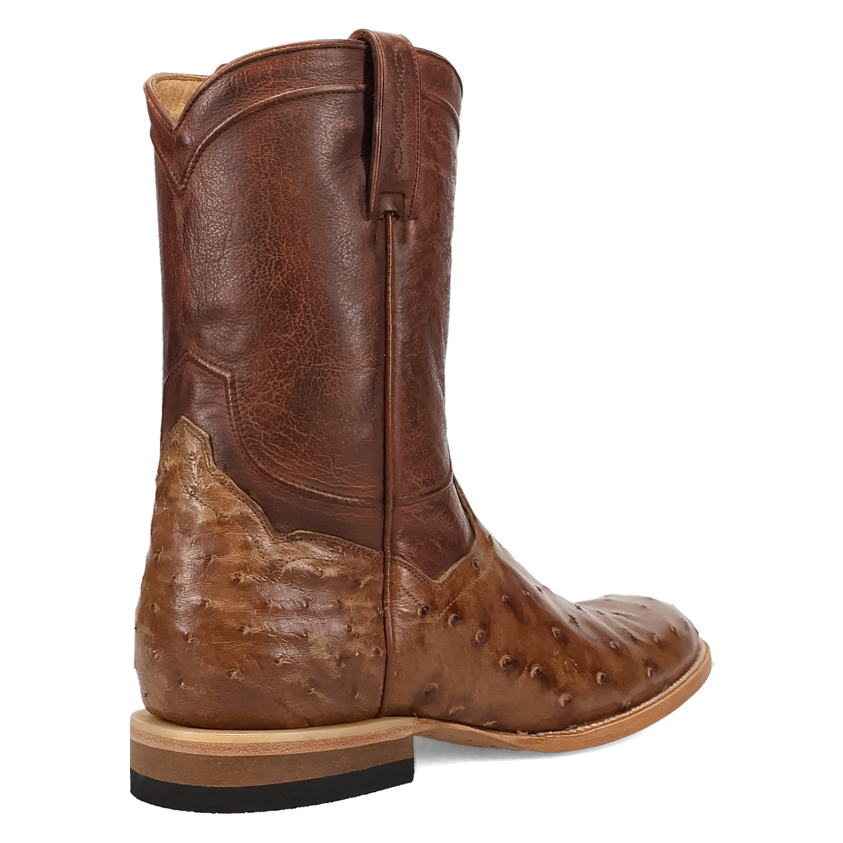 Dan Post Ardor Full Quill Ostrich Boot-DP7134