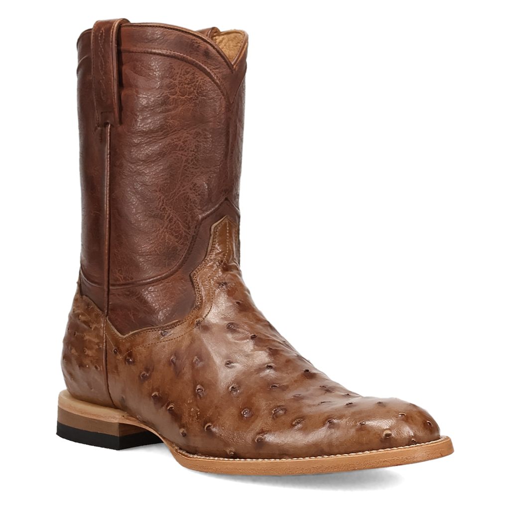 Dan Post Ardor Full Quill Ostrich Boot-DP7134