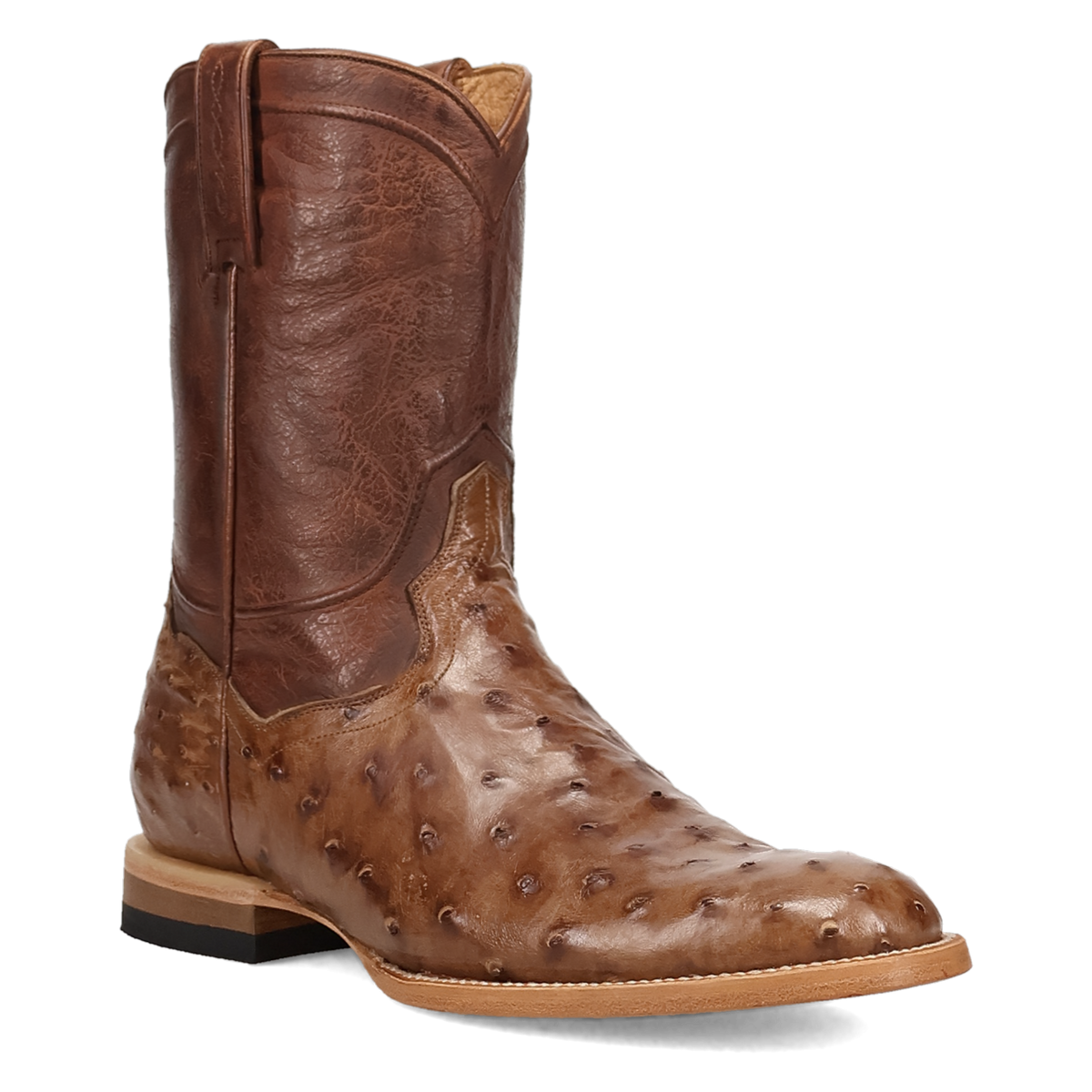 Dan Post Ardor Full Quill Ostrich Boot-DP7134