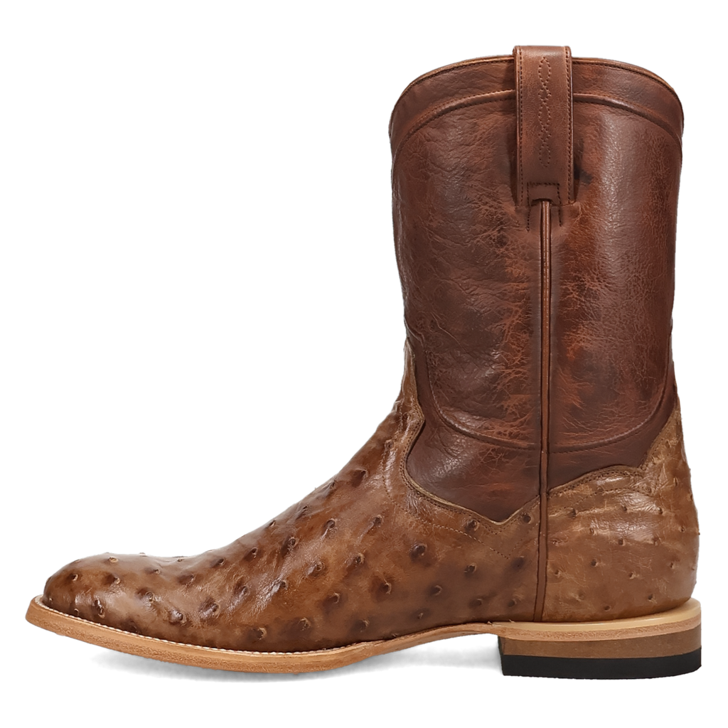 Dan Post Ardor Full Quill Ostrich Boot-DP7134