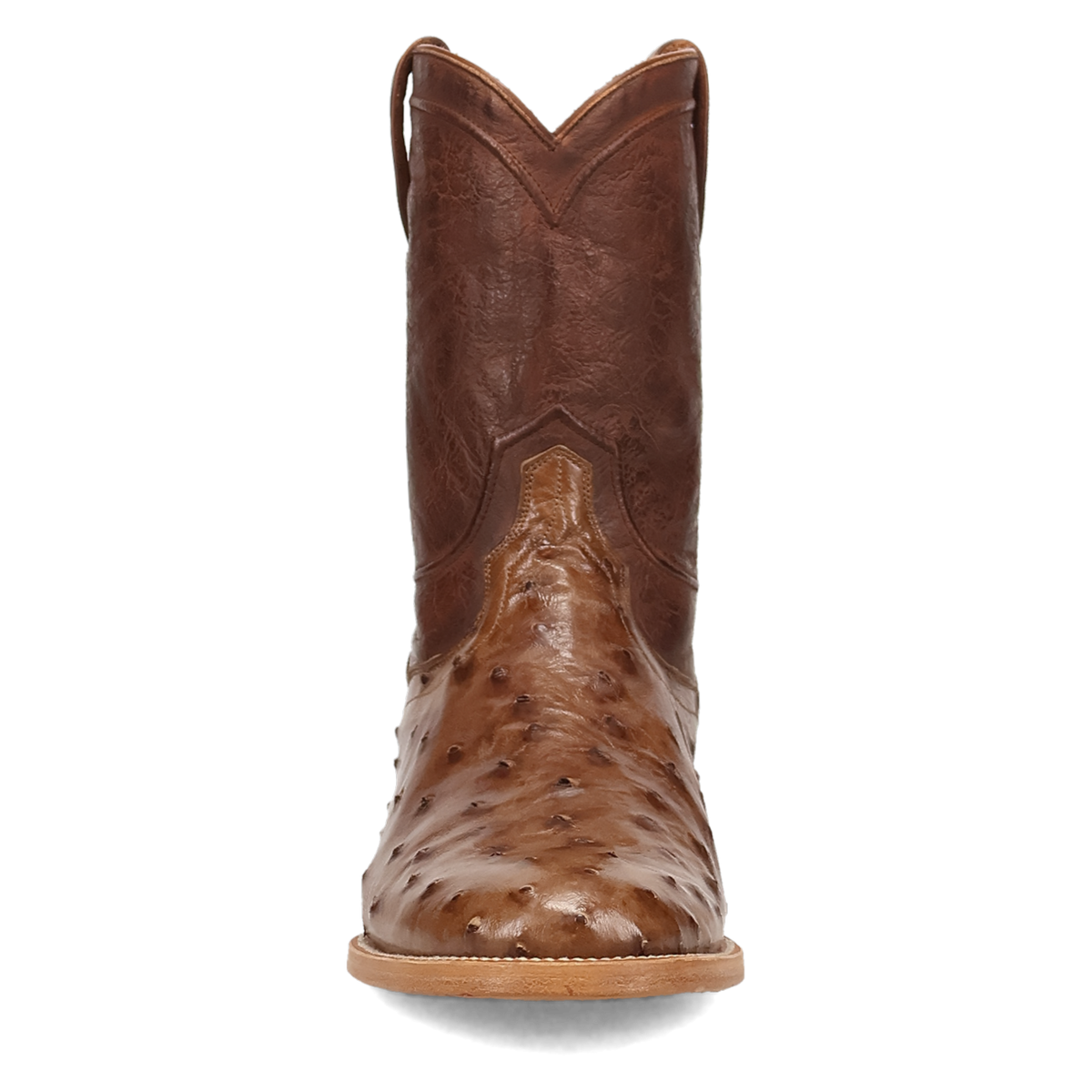 Dan Post Ardor Full Quill Ostrich Boot-DP7134