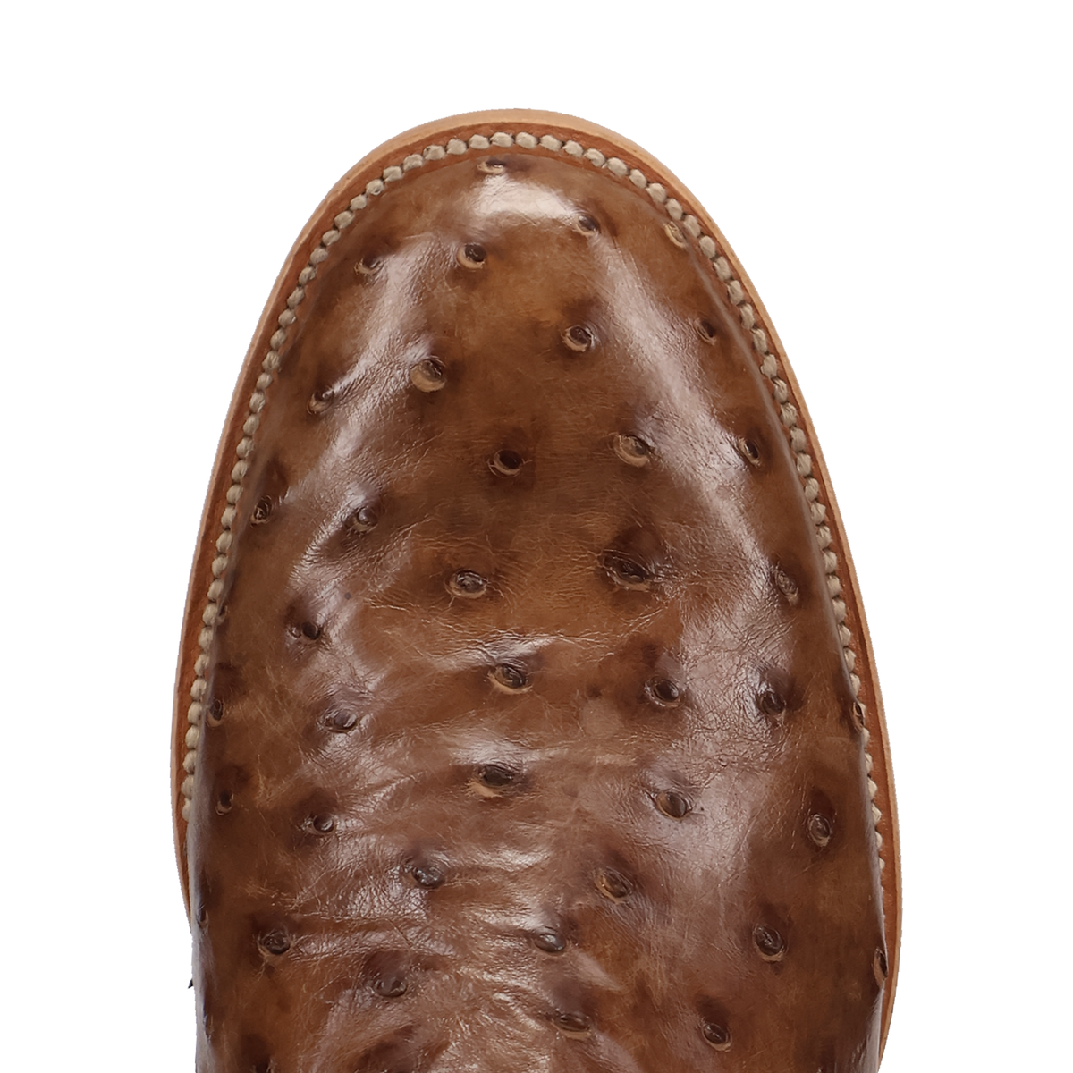 Dan Post Ardor Full Quill Ostrich Boot-DP7134