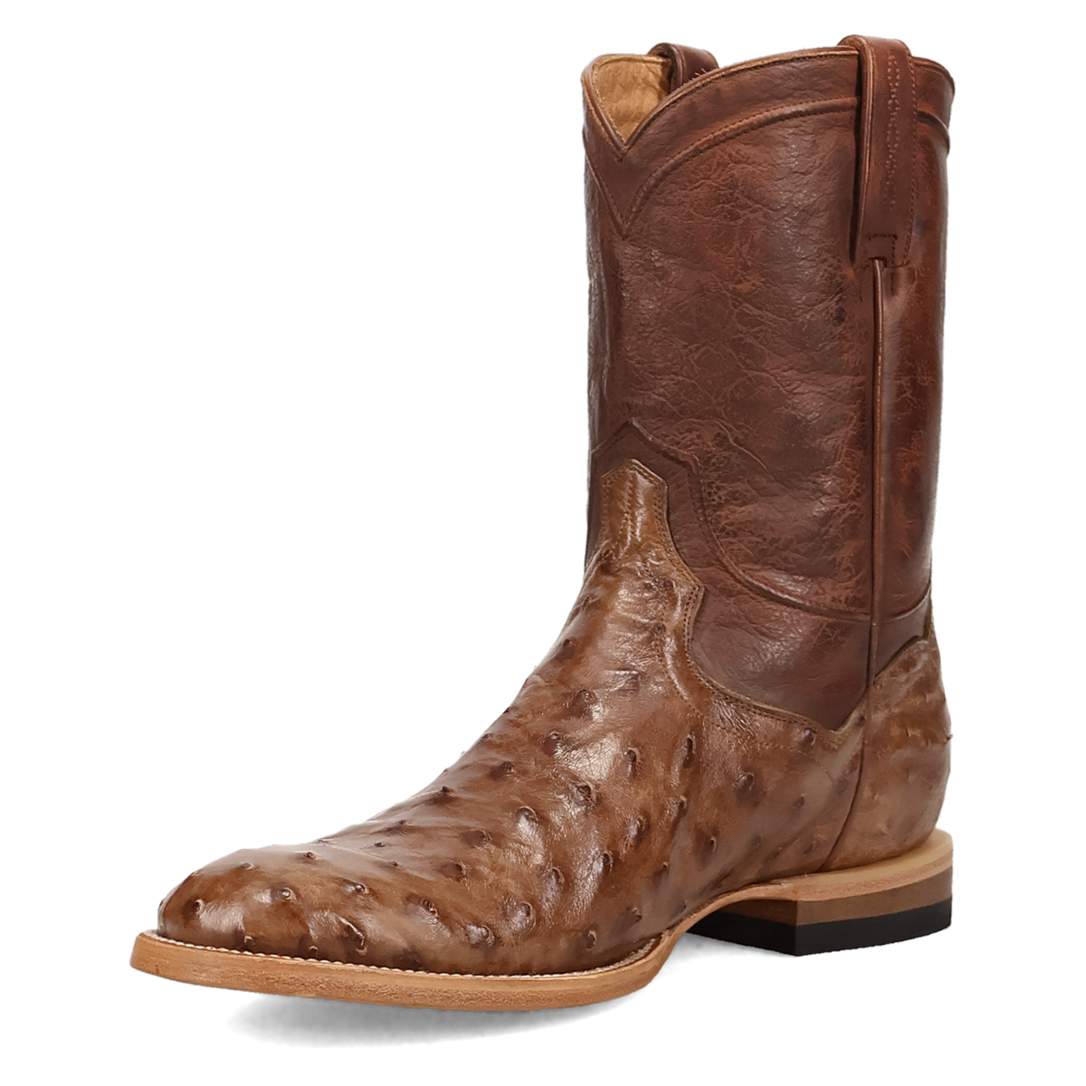 Dan Post Ardor Full Quill Ostrich Boot-DP7134