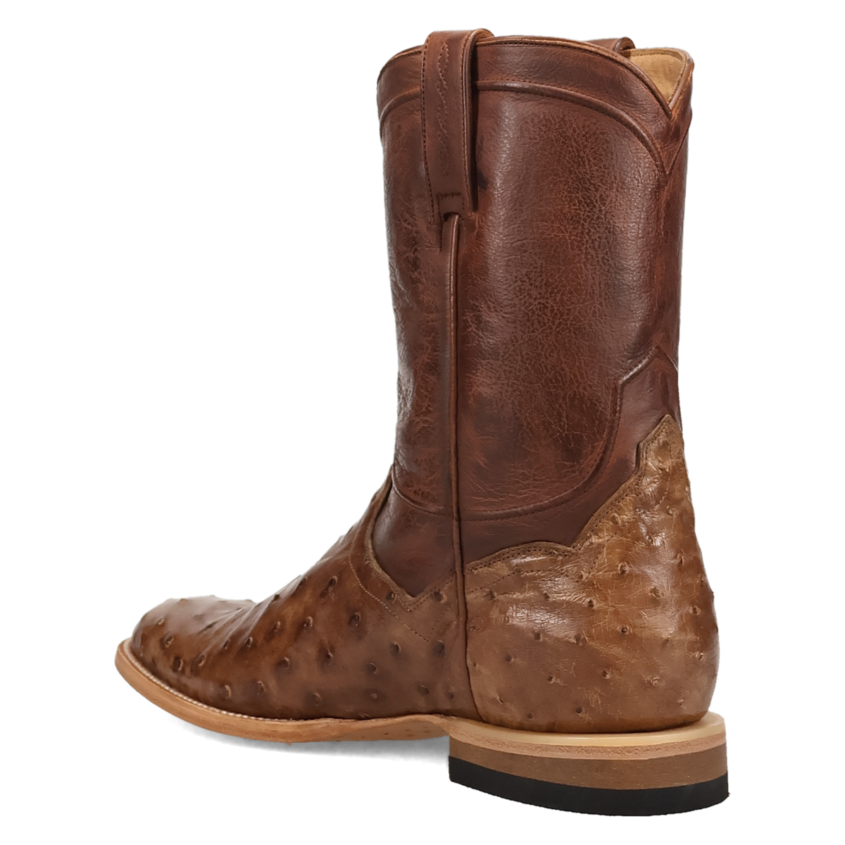 Dan Post Ardor Full Quill Ostrich Boot-DP7134