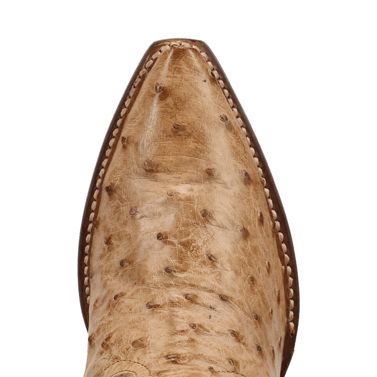 Dan Post Maravilla Full Ostrich Boot-DP7154