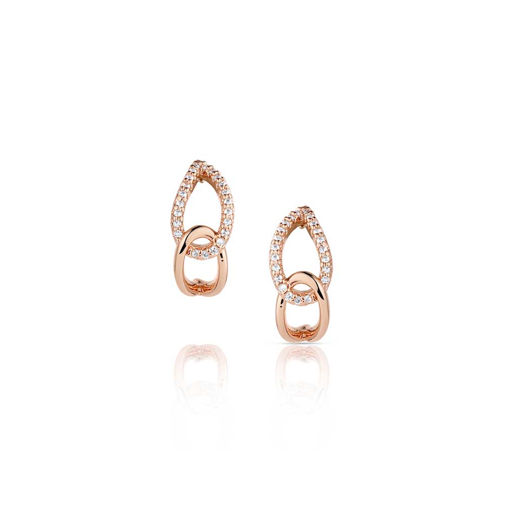Montana Silversmiths Rose of the Rockies Earrings - ER6382