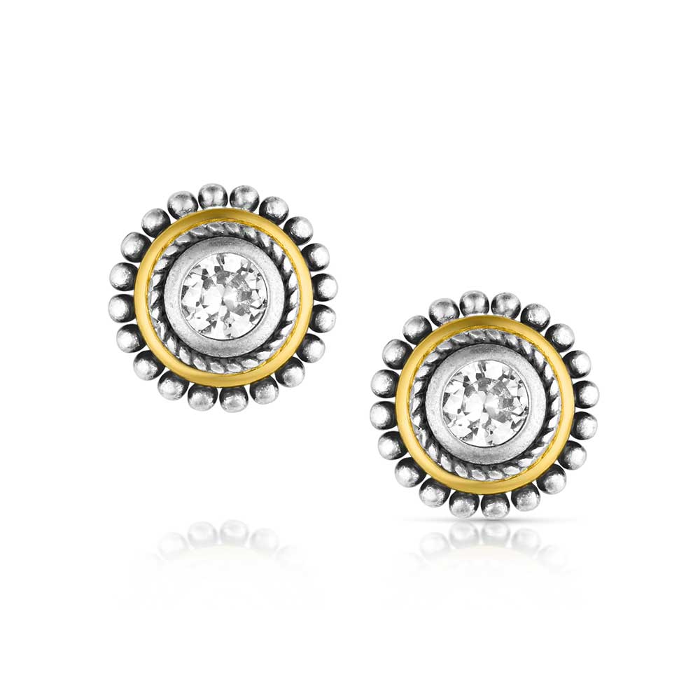 Montana Silversmiths Sharpshooter Post Earrings - ER6447