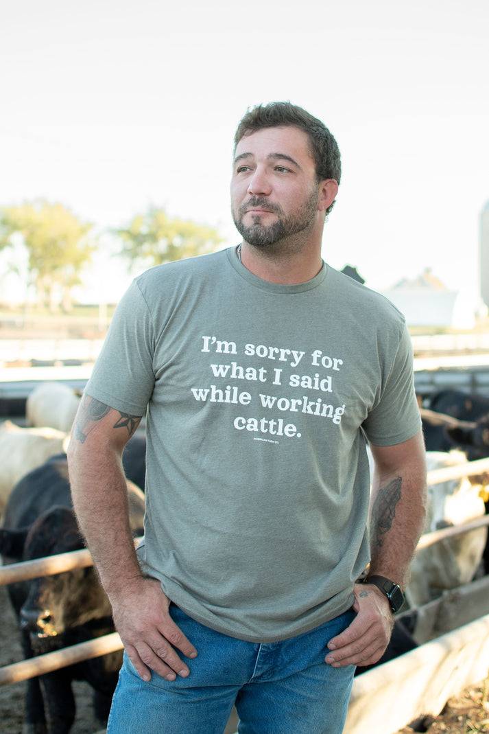 American Farm Company Sorry For What I said Working Cattle Tee - MT10
