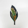 American Hat Makers Feather Hat Accent Golly Black - 810077-BLK