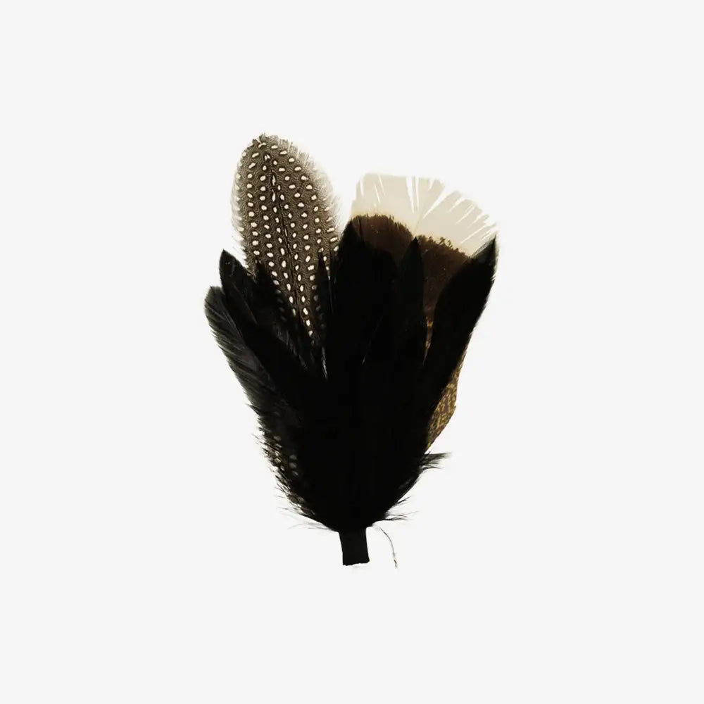 American Hat Makers  Black Hat Feather Genesis - 810179-MLT
