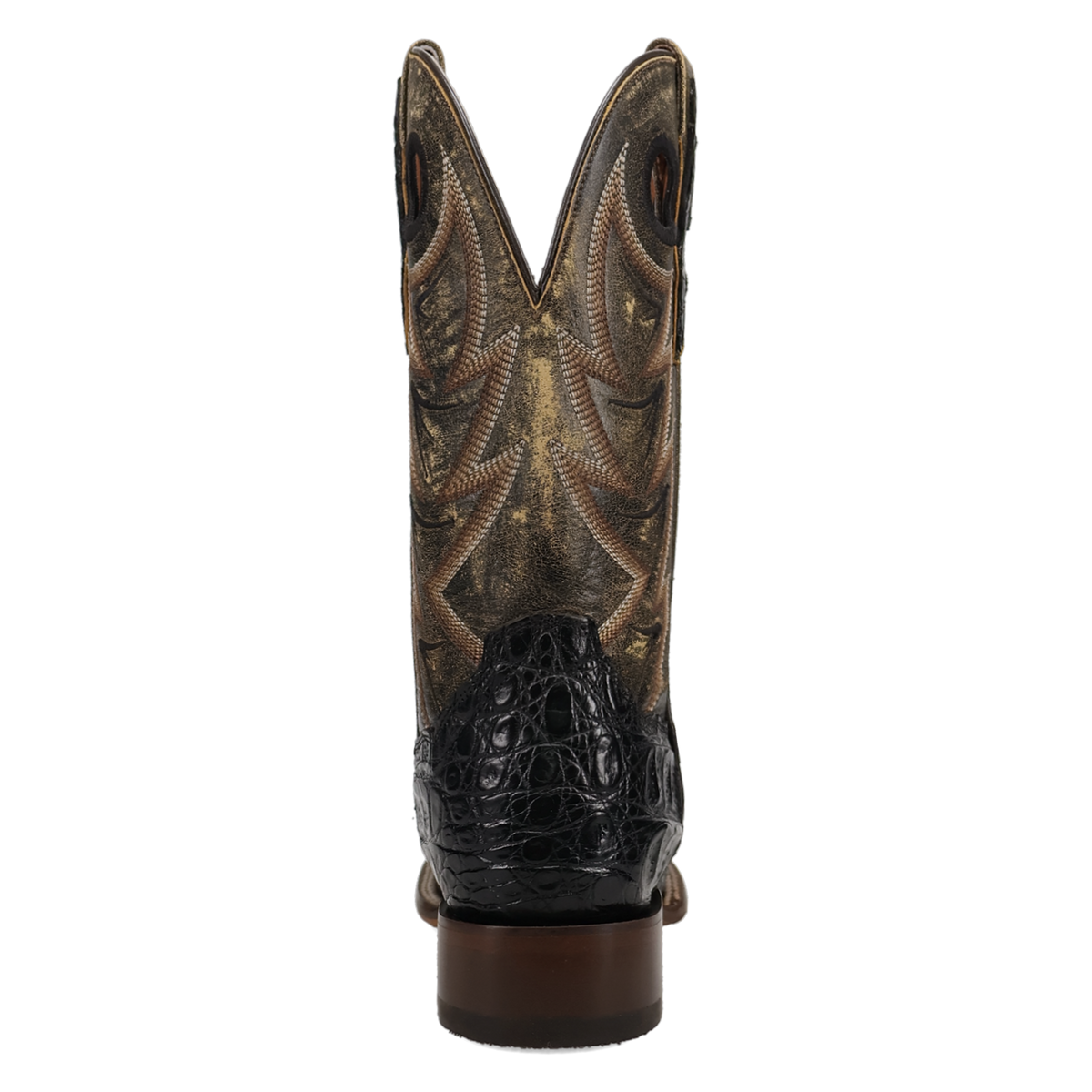 Dan Post Marsh Caiman Boot-DP5240