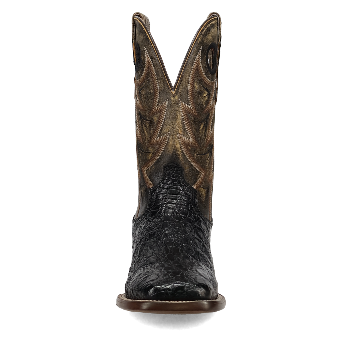 Dan Post Marsh Caiman Boot-DP5240