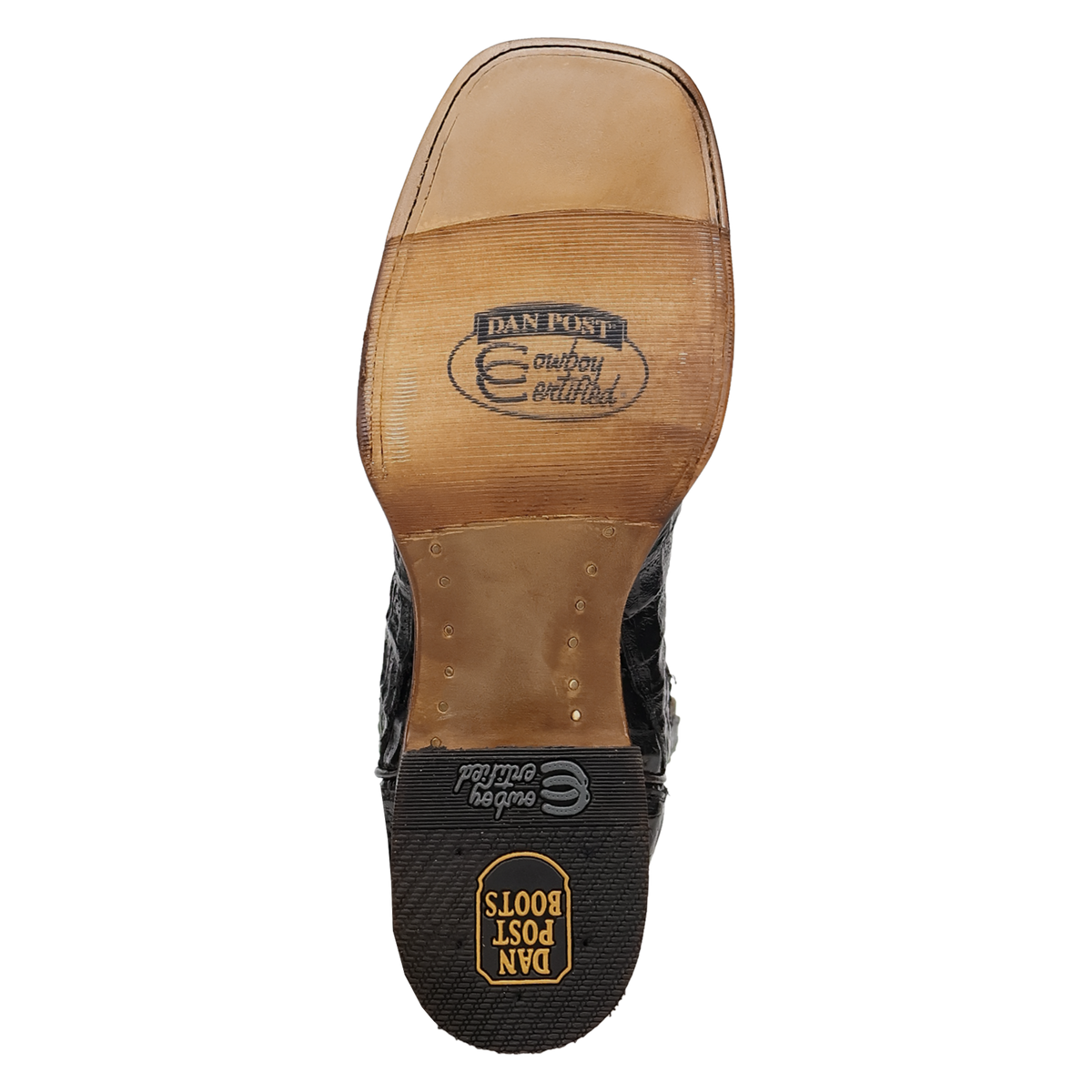 Dan Post Marsh Caiman Boot-DP5240