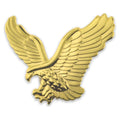 Pin Mart Gold Eagle Magnetic Pin-S634