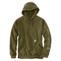 Carhartt Mens Loose Fit Midweight Logo Sleeve Graphic Hoodie Dark Gree-K288-GL8