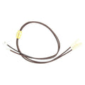 Twister Leather Stampede String with Bone Beads Brown-0296702